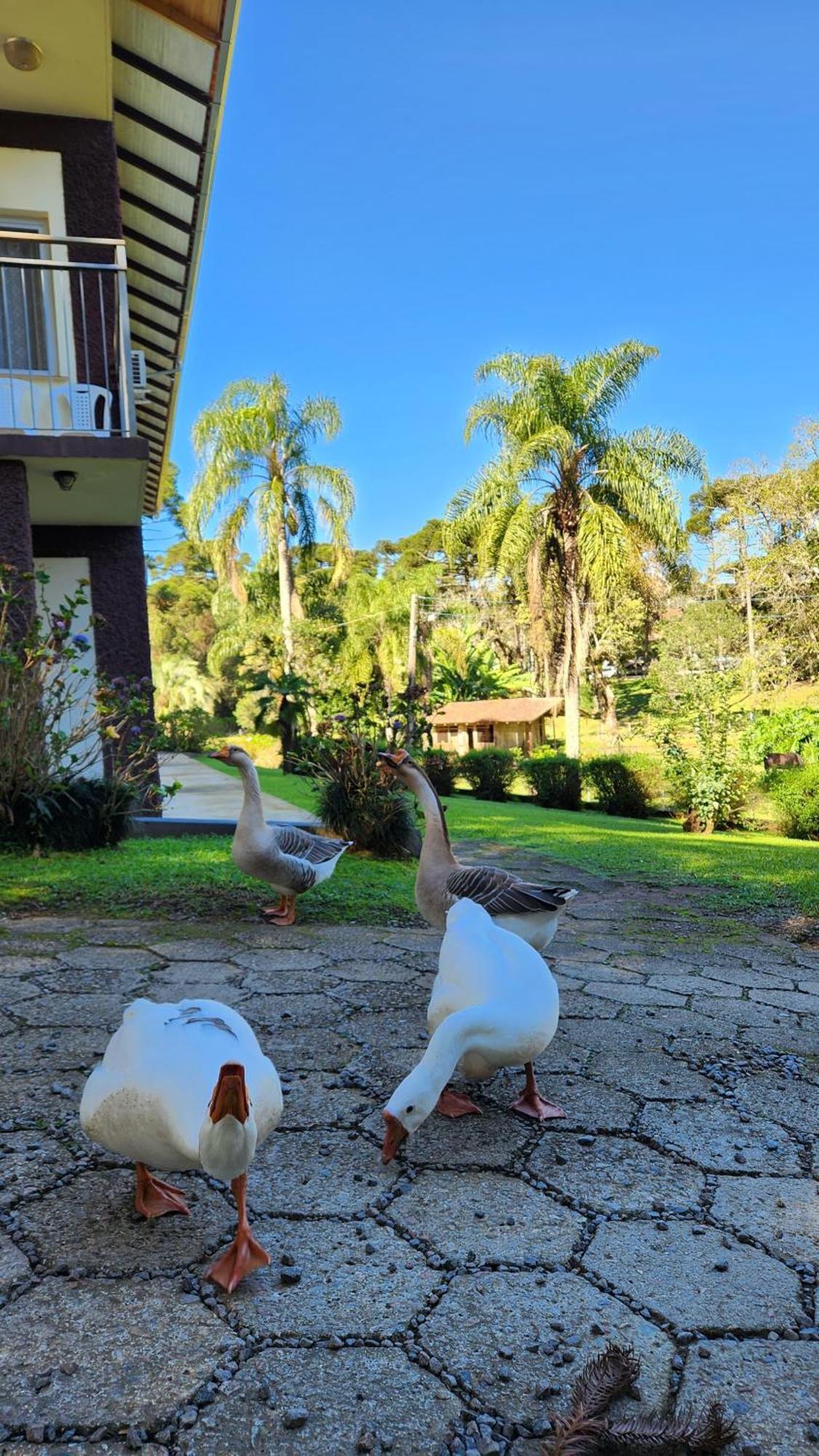 Hotel Filadélfia Hospedagens e Eventos São Bento do Sul Esterno foto